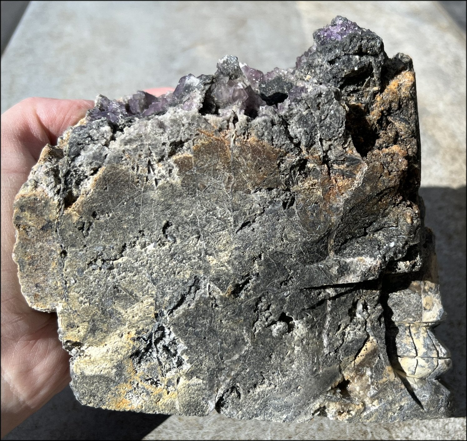 Limestone + Cubic Purple FLUORITE Metamorphosis Crystal Skull with Mesmerizing Vugs - Just over 6lbs