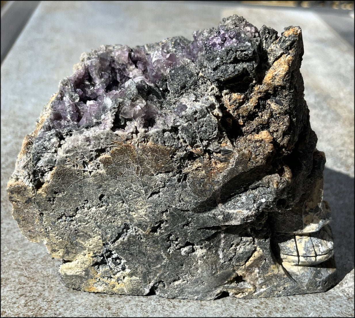 Limestone + Cubic Purple FLUORITE Metamorphosis Crystal Skull with Mesmerizing Vugs - Just over 6lbs