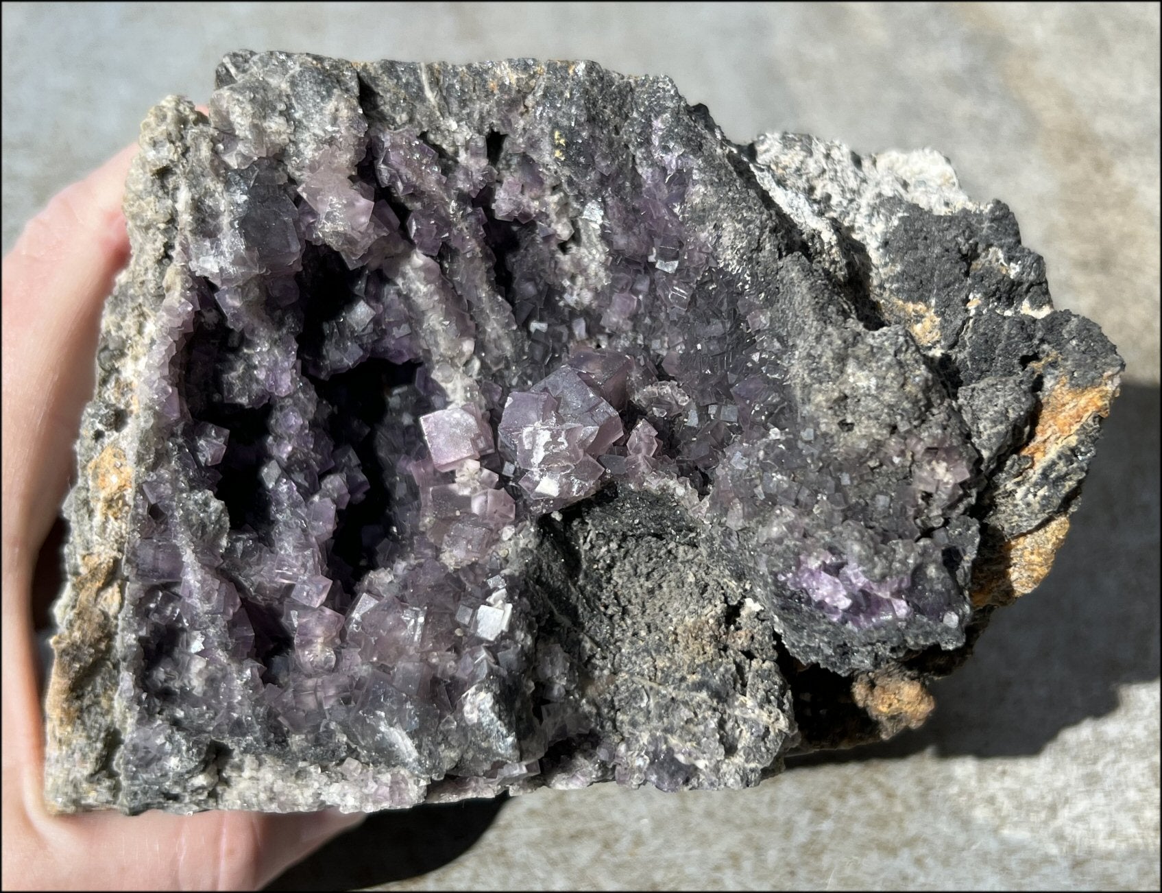 Limestone + Cubic Purple FLUORITE Metamorphosis Crystal Skull with Mesmerizing Vugs - Just over 6lbs