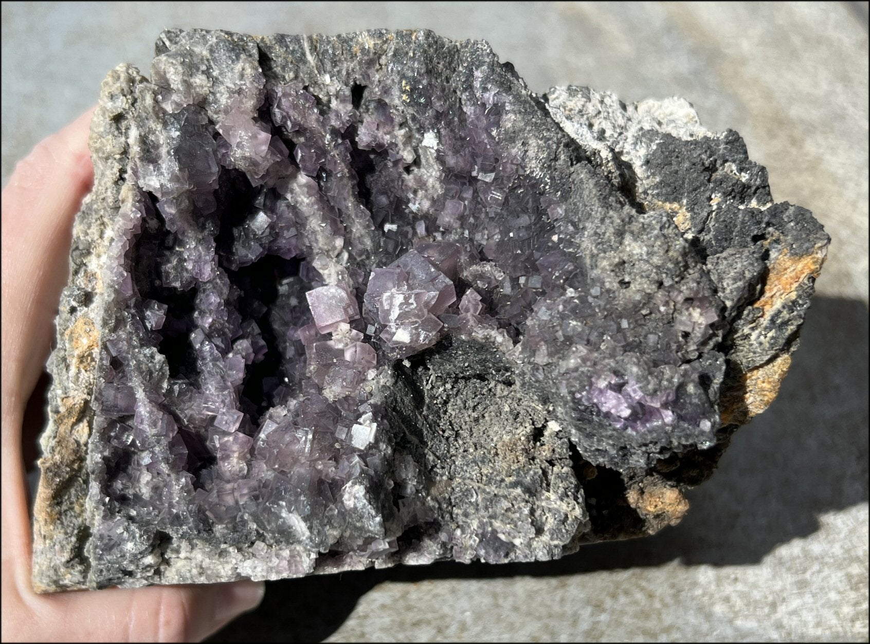 Limestone + Cubic Purple FLUORITE Metamorphosis Crystal Skull with Mesmerizing Vugs - Just over 6lbs