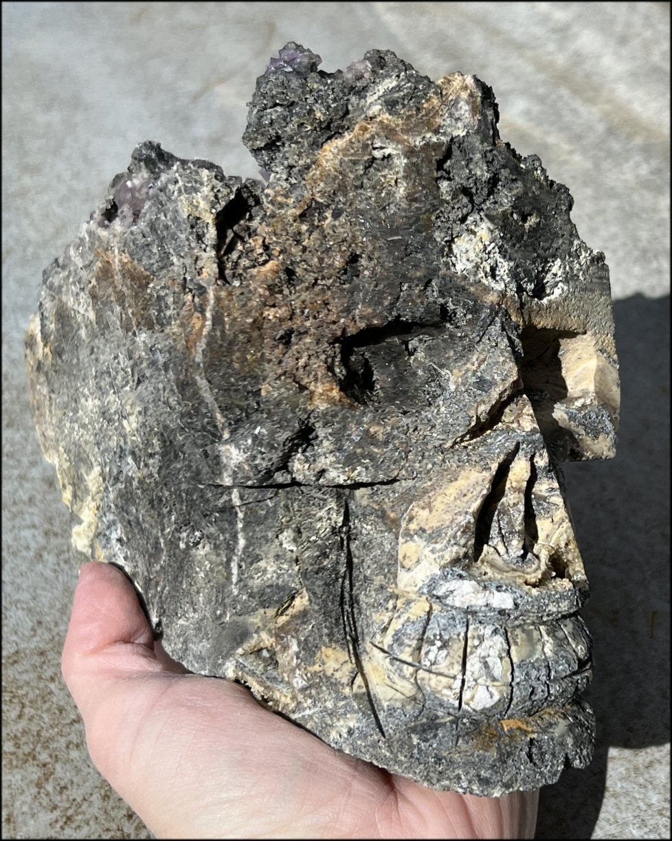 Limestone + Cubic Purple FLUORITE Metamorphosis Crystal Skull with Mesmerizing Vugs - Just over 6lbs