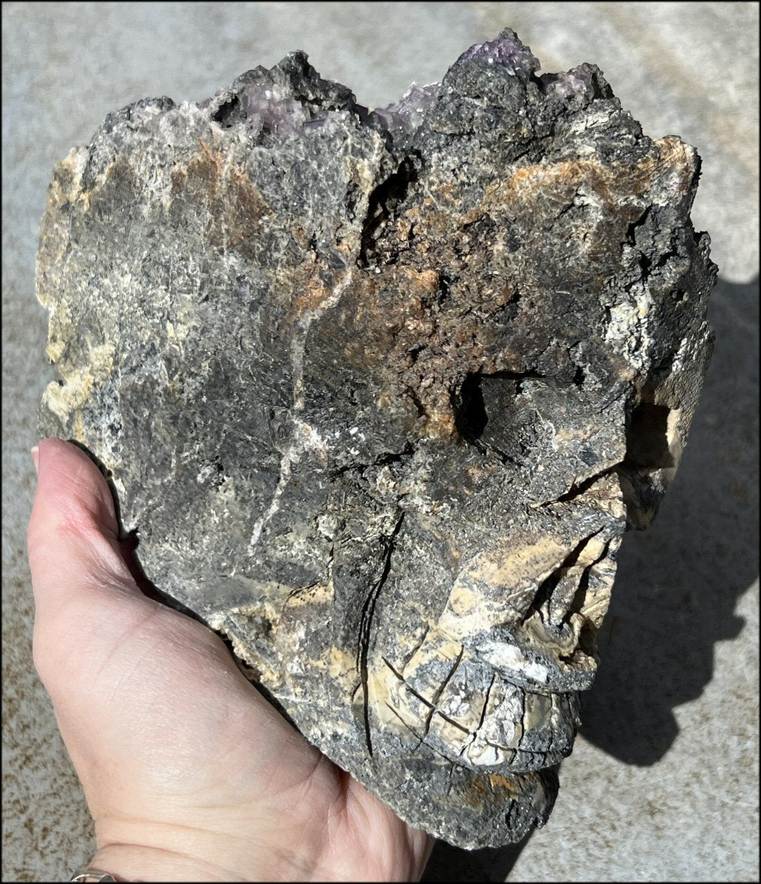 Limestone + Cubic Purple FLUORITE Metamorphosis Crystal Skull with Mesmerizing Vugs - Just over 6lbs