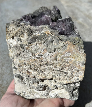 Limestone + Cubic Purple FLUORITE Metamorphosis Crystal Skull with Mesmerizing Vugs - Just over 6lbs