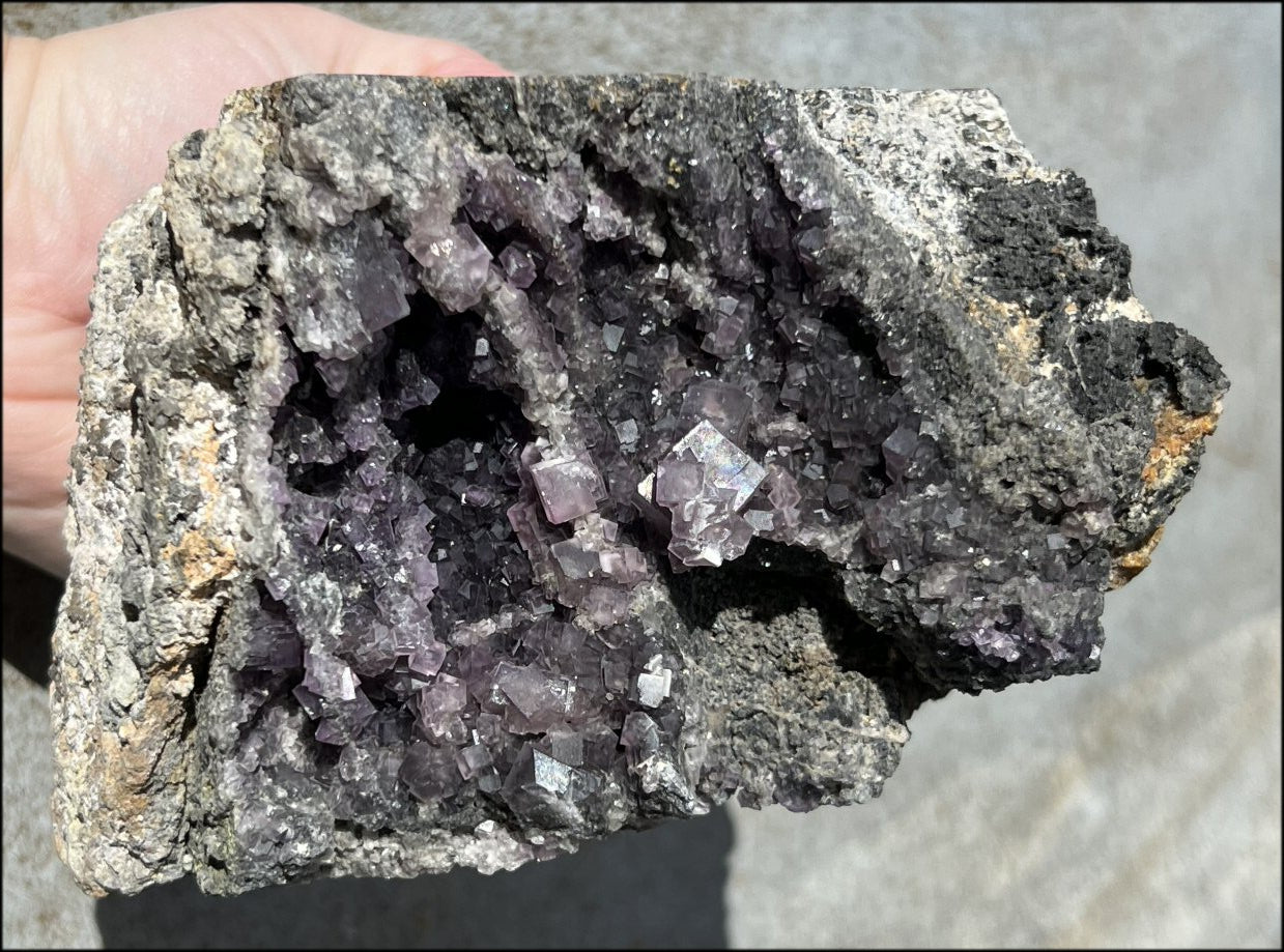 Limestone + Cubic Purple FLUORITE Metamorphosis Crystal Skull with Mesmerizing Vugs - Just over 6lbs