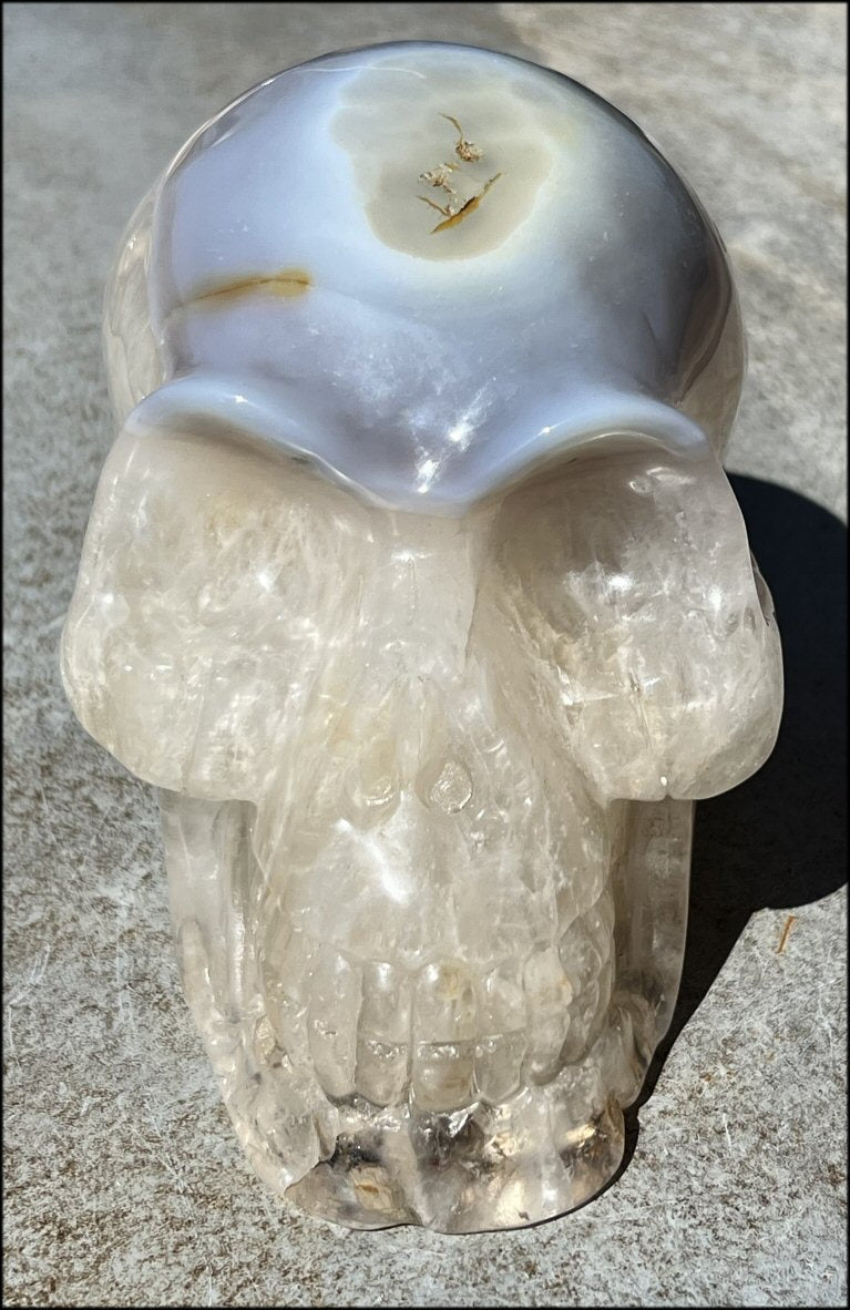 LifeSize Agate GEODE Crystal Skull with Hematite, Dendritic inclusions, Mesmerizing Crystalline formations