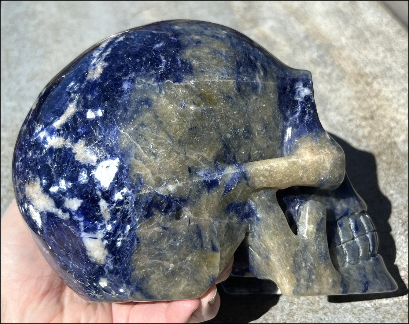 LifeSize SODALITE Crystal Skull - Throat Chakra, Communication - 8.5lbs+