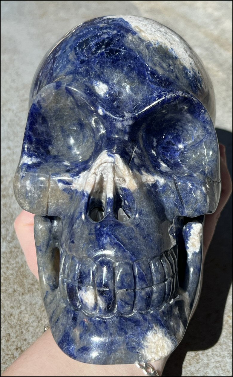 LifeSize SODALITE Crystal Skull - Throat Chakra, Communication - 8.5lbs+