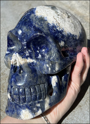 LifeSize SODALITE Crystal Skull - Throat Chakra, Communication - 8.5lbs+