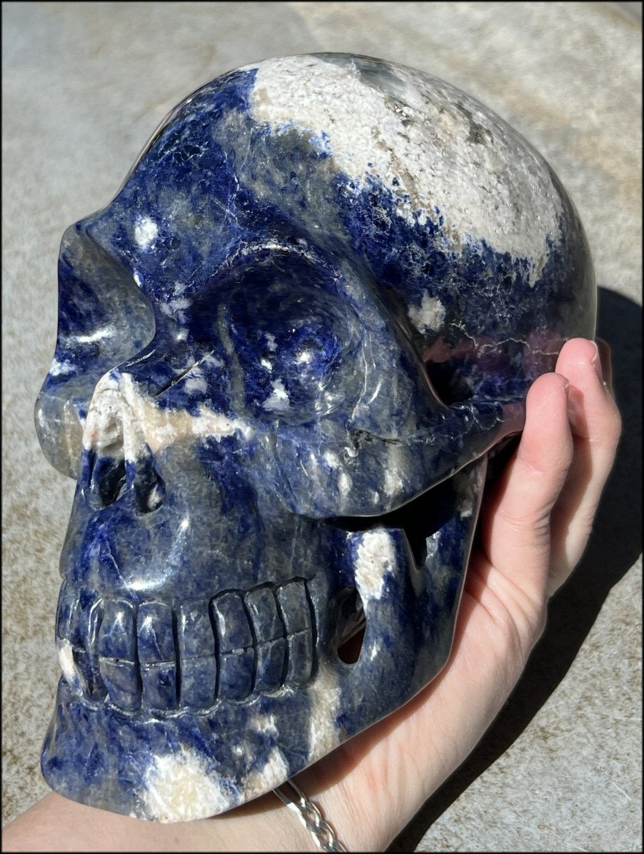 LifeSize SODALITE Crystal Skull - Throat Chakra, Communication - 8.5lbs+