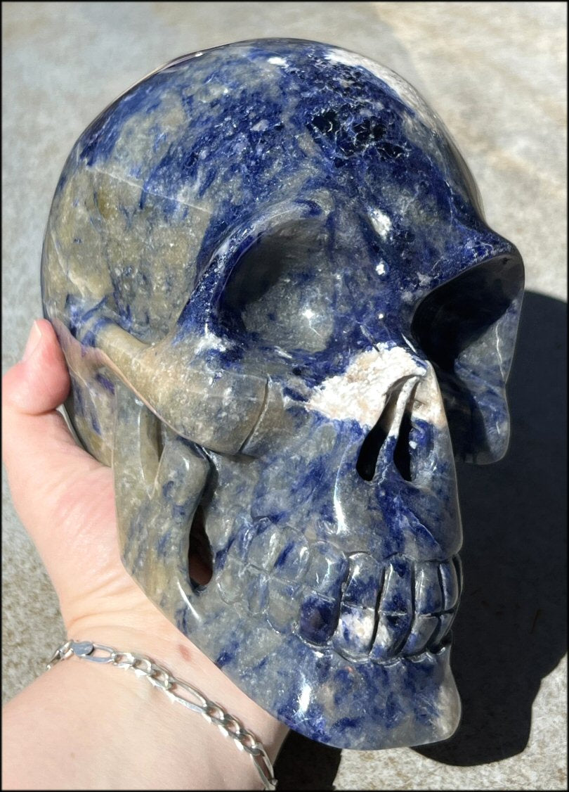 LifeSize SODALITE Crystal Skull - Throat Chakra, Communication - 8.5lbs+