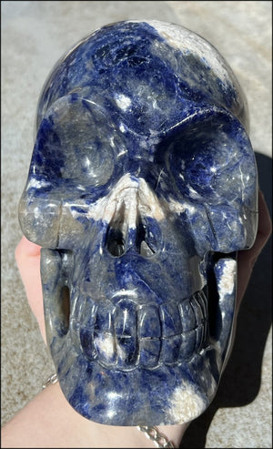 LifeSize SODALITE Crystal Skull - Throat Chakra, Communication - 8.5lbs+