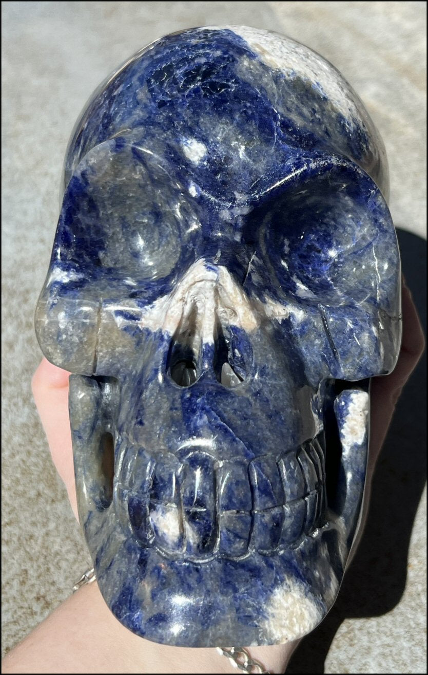 LifeSize SODALITE Crystal Skull - Throat Chakra, Communication - 8.5lbs+
