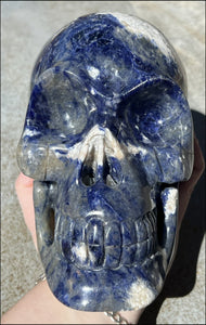 LifeSize SODALITE Crystal Skull - Throat Chakra, Communication - 8.5lbs+