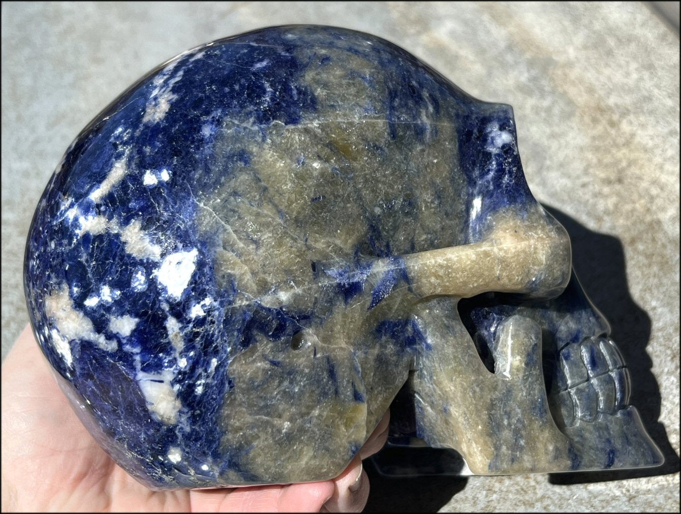 LifeSize SODALITE Crystal Skull - Throat Chakra, Communication - 8.5lbs+