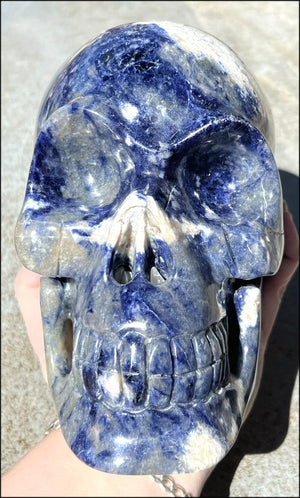 LifeSize SODALITE Crystal Skull - Throat Chakra, Communication - 8.5lbs+