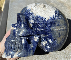 LifeSize SODALITE Crystal Skull - Throat Chakra, Communication - 8.5lbs+