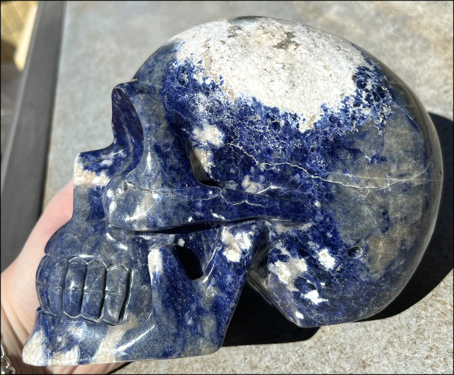 LifeSize SODALITE Crystal Skull - Throat Chakra, Communication - 8.5lbs+