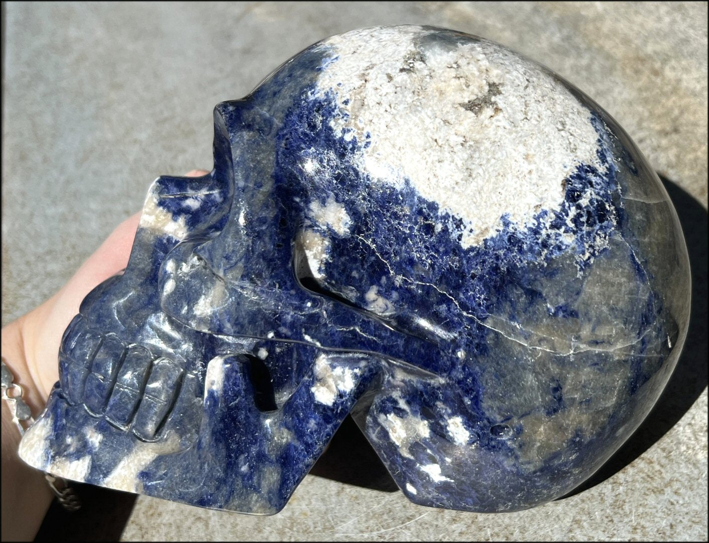 LifeSize SODALITE Crystal Skull - Throat Chakra, Communication - 8.5lbs+