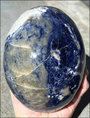 LifeSize SODALITE Crystal Skull - Throat Chakra, Communication - 8.5lbs+