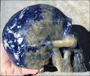 LifeSize SODALITE Crystal Skull - Throat Chakra, Communication - 8.5lbs+