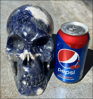 LifeSize SODALITE Crystal Skull - Throat Chakra, Communication - 8.5lbs+