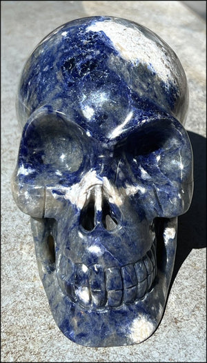 LifeSize SODALITE Crystal Skull - Throat Chakra, Communication - 8.5lbs+