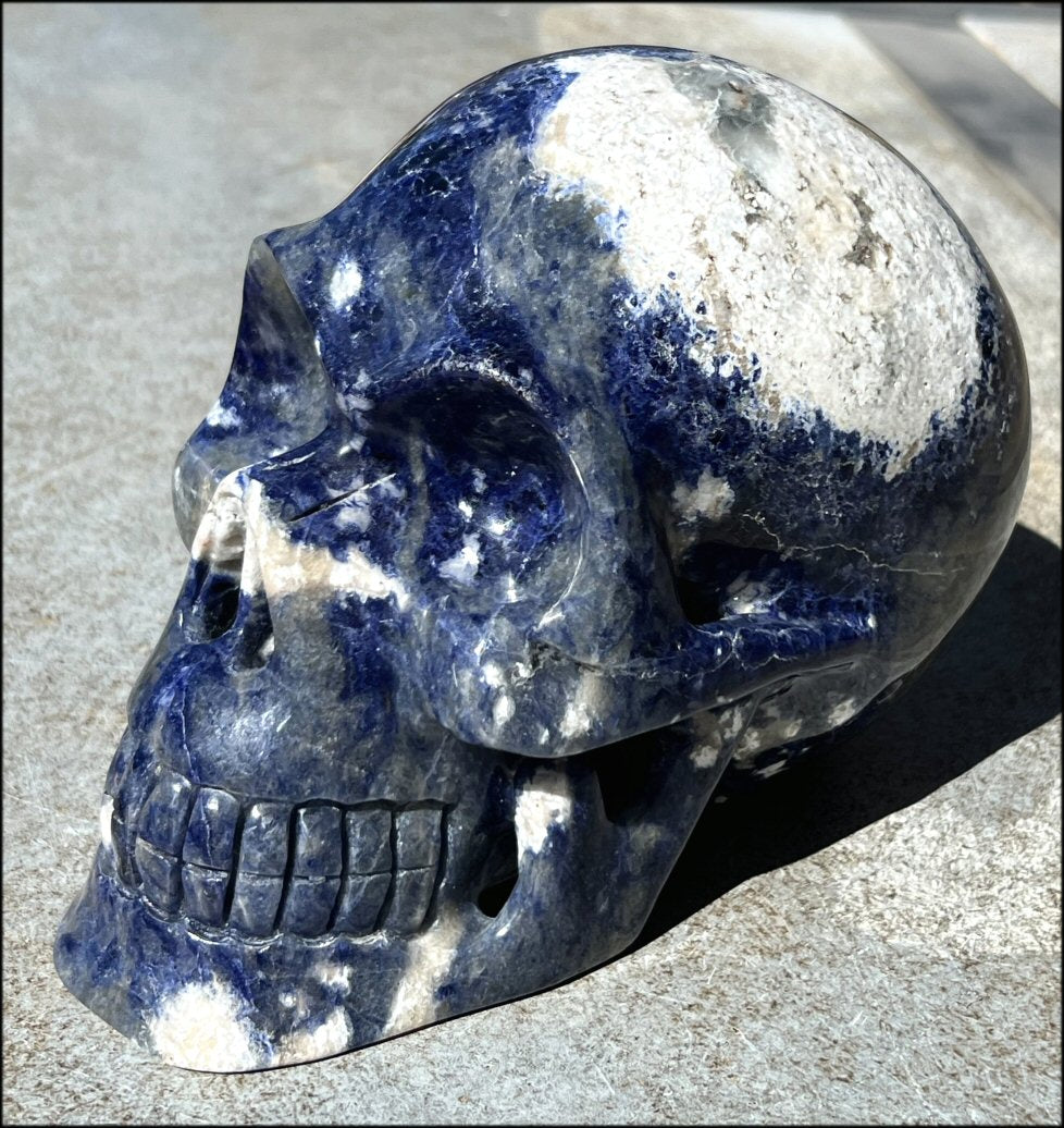 LifeSize SODALITE Crystal Skull - Throat Chakra, Communication - 8.5lbs+