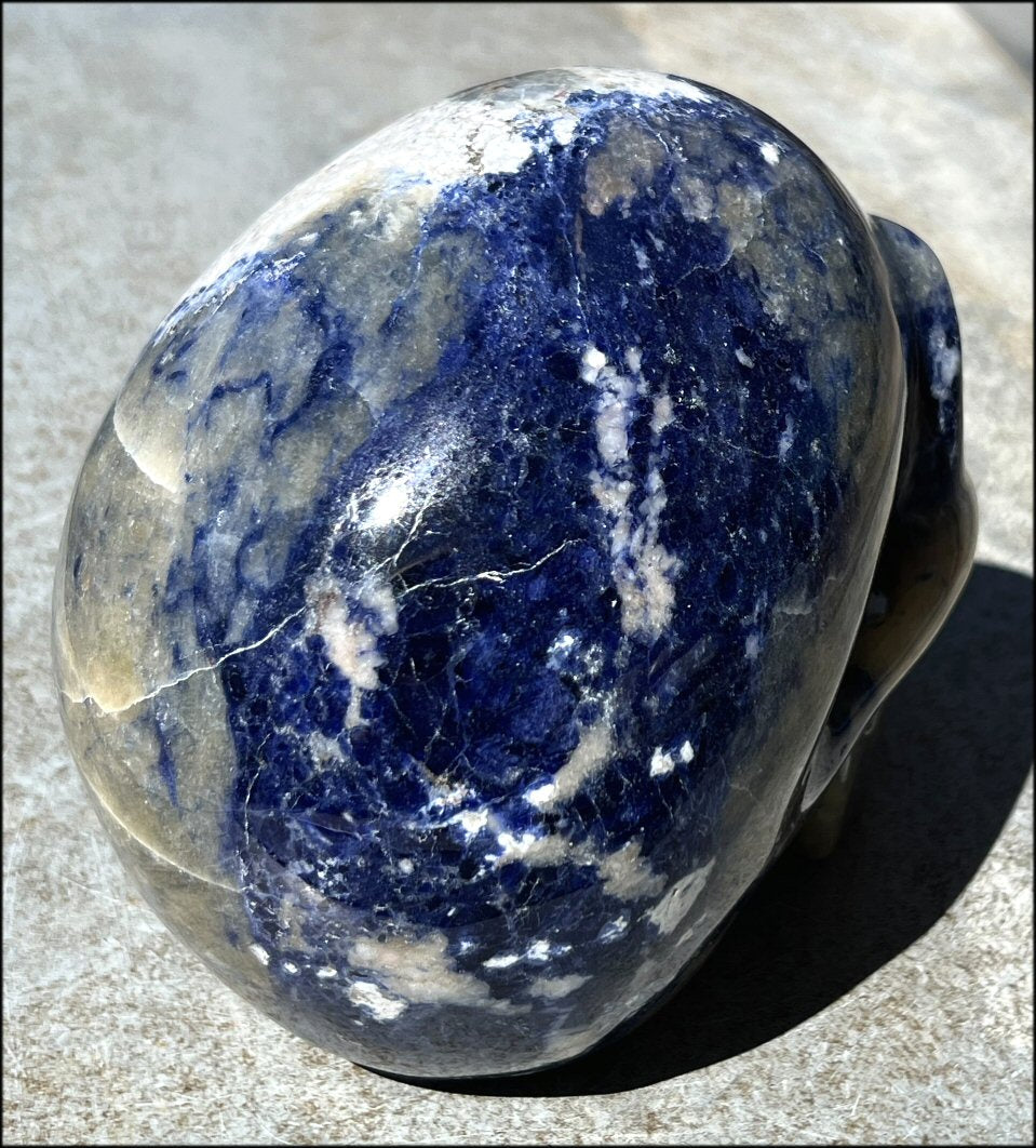 LifeSize SODALITE Crystal Skull - Throat Chakra, Communication - 8.5lbs+