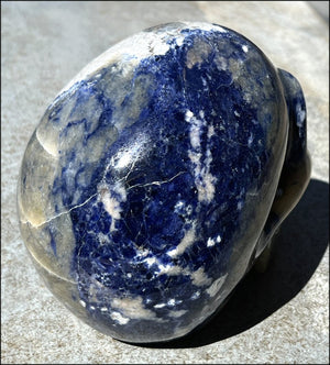 LifeSize SODALITE Crystal Skull - Throat Chakra, Communication - 8.5lbs+