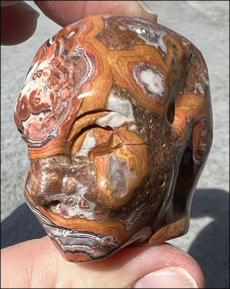 ~NEW~ Crazy Lace Agate FAE / Sidhe CRYSTAL SKULL - Laughter, Balance