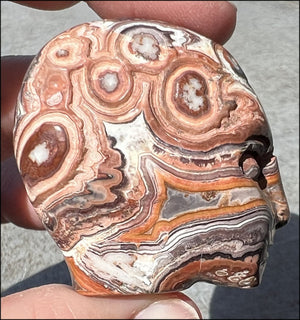 ~NEW~ Crazy Lace Agate FAE / Sidhe CRYSTAL SKULL - Laughter, Balance