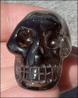 Dark Smoky Quartz ANUNNAKI STYLE Crystal Skull - Stabilizing, Root Chakra