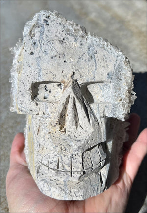 Quartz Crystal + Limestone METAMORPHOSIS Crystal Skull with Fantastic Sparkly Crystal Points
