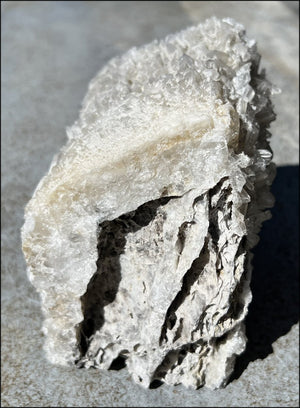 Quartz Crystal + Limestone METAMORPHOSIS Crystal Skull with Fantastic Sparkly Crystal Points