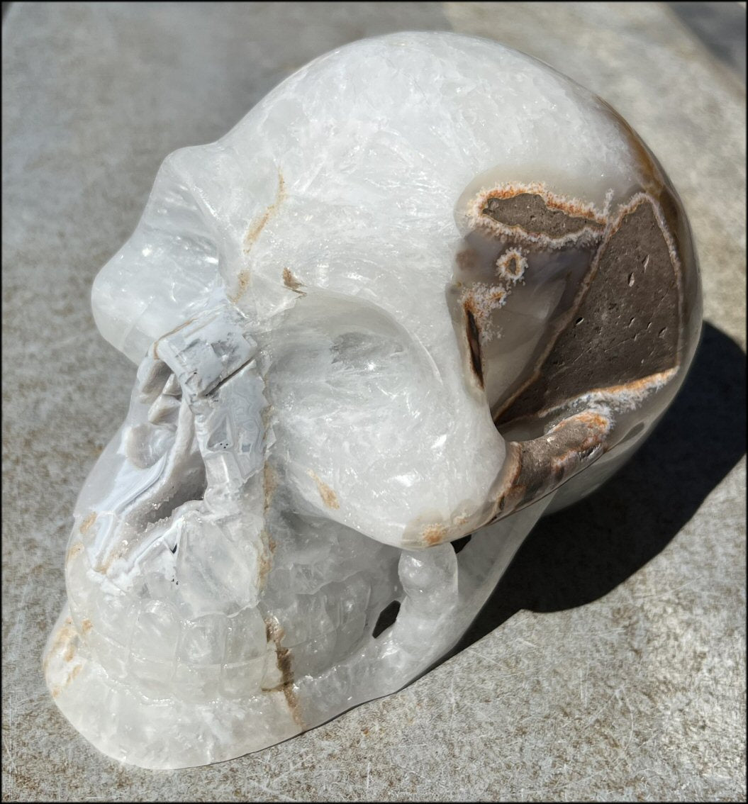 LifeSize Agate GEODE Crystal Skull with Super Cool Druzy Lined Facial VUG!