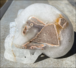 LifeSize Agate GEODE Crystal Skull with Super Cool Druzy Lined Facial VUG!