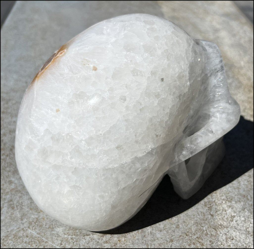 LifeSize Agate GEODE Crystal Skull with Super Cool Druzy Lined Facial VUG!