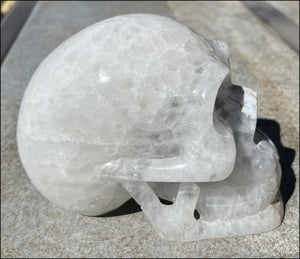 LifeSize Agate GEODE Crystal Skull with Super Cool Druzy Lined Facial VUG!