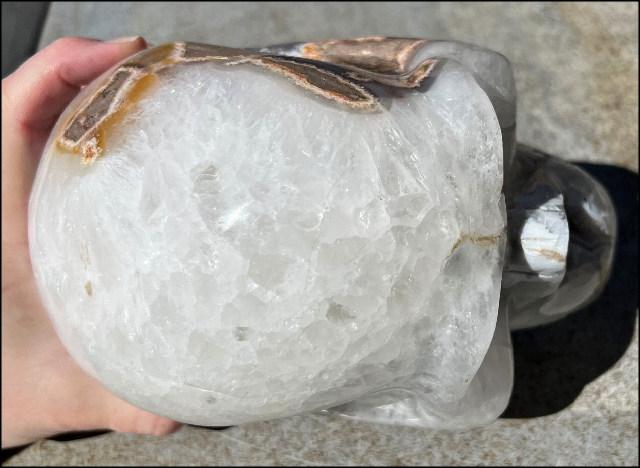 LifeSize Agate GEODE Crystal Skull with Super Cool Druzy Lined Facial VUG!