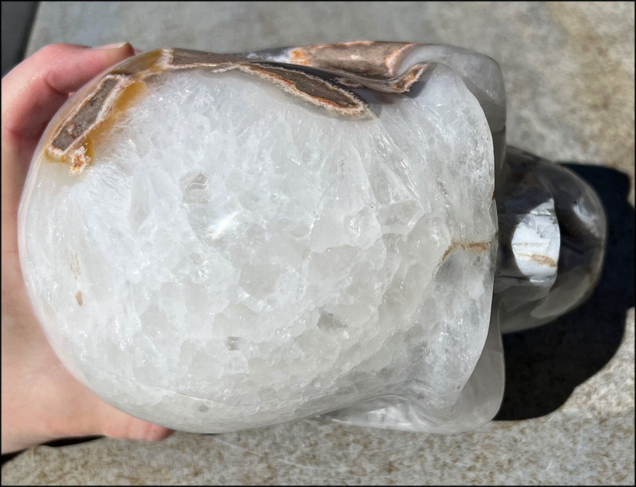 LifeSize Agate GEODE Crystal Skull with Super Cool Druzy Lined Facial VUG!