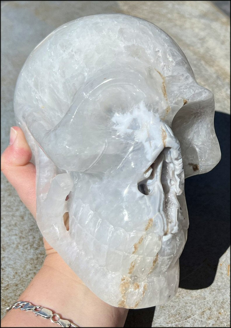 LifeSize Agate GEODE Crystal Skull with Super Cool Druzy Lined Facial VUG!