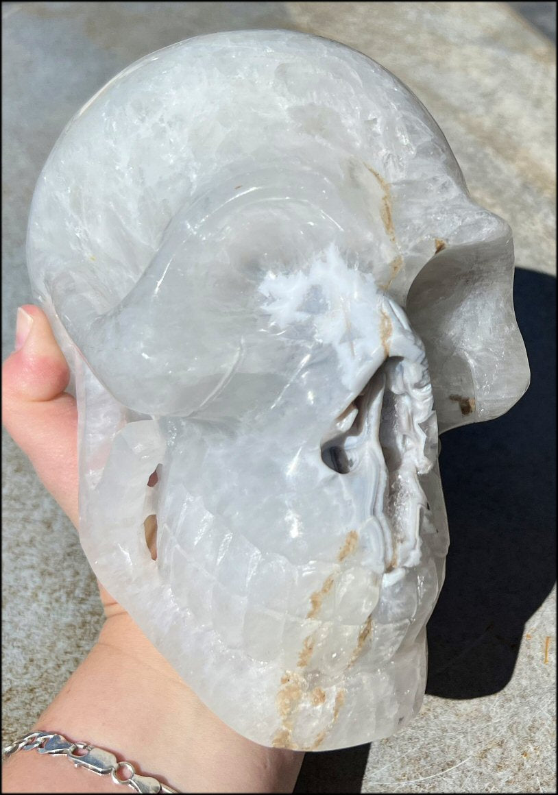 LifeSize Agate GEODE Crystal Skull with Super Cool Druzy Lined Facial VUG!