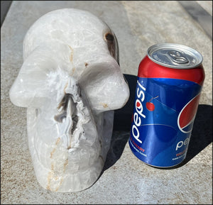 LifeSize Agate GEODE Crystal Skull with Super Cool Druzy Lined Facial VUG!