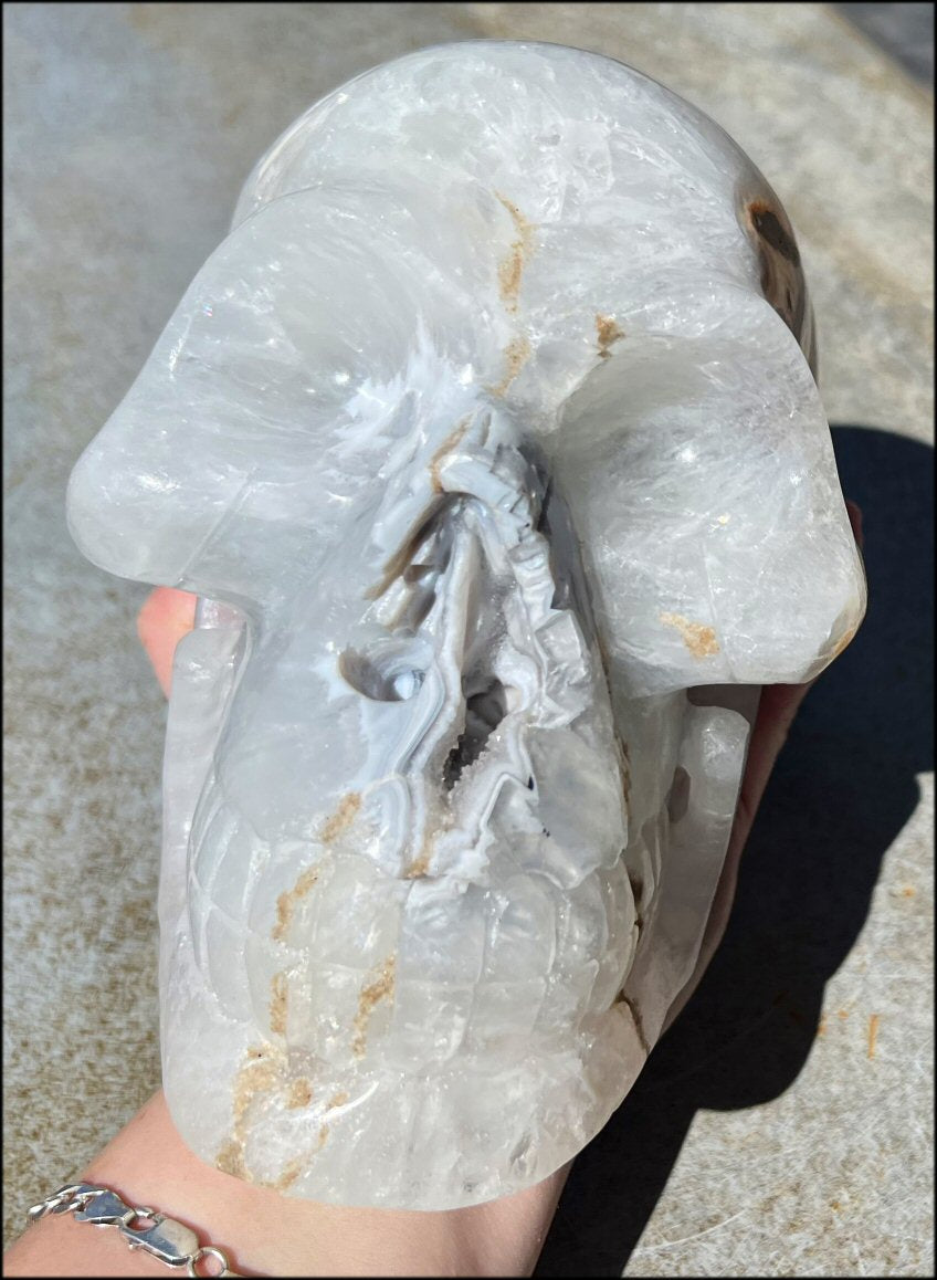 LifeSize Agate GEODE Crystal Skull with Super Cool Druzy Lined Facial VUG!