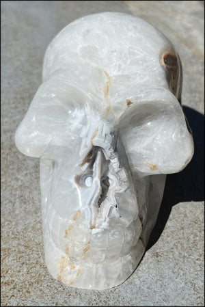 LifeSize Agate GEODE Crystal Skull with Super Cool Druzy Lined Facial VUG!