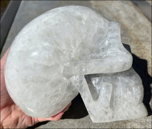 LifeSize Agate GEODE Crystal Skull with Super Cool Druzy Lined Facial VUG!