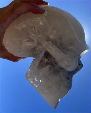 LifeSize Agate GEODE Crystal Skull with Super Cool Druzy Lined Facial VUG!