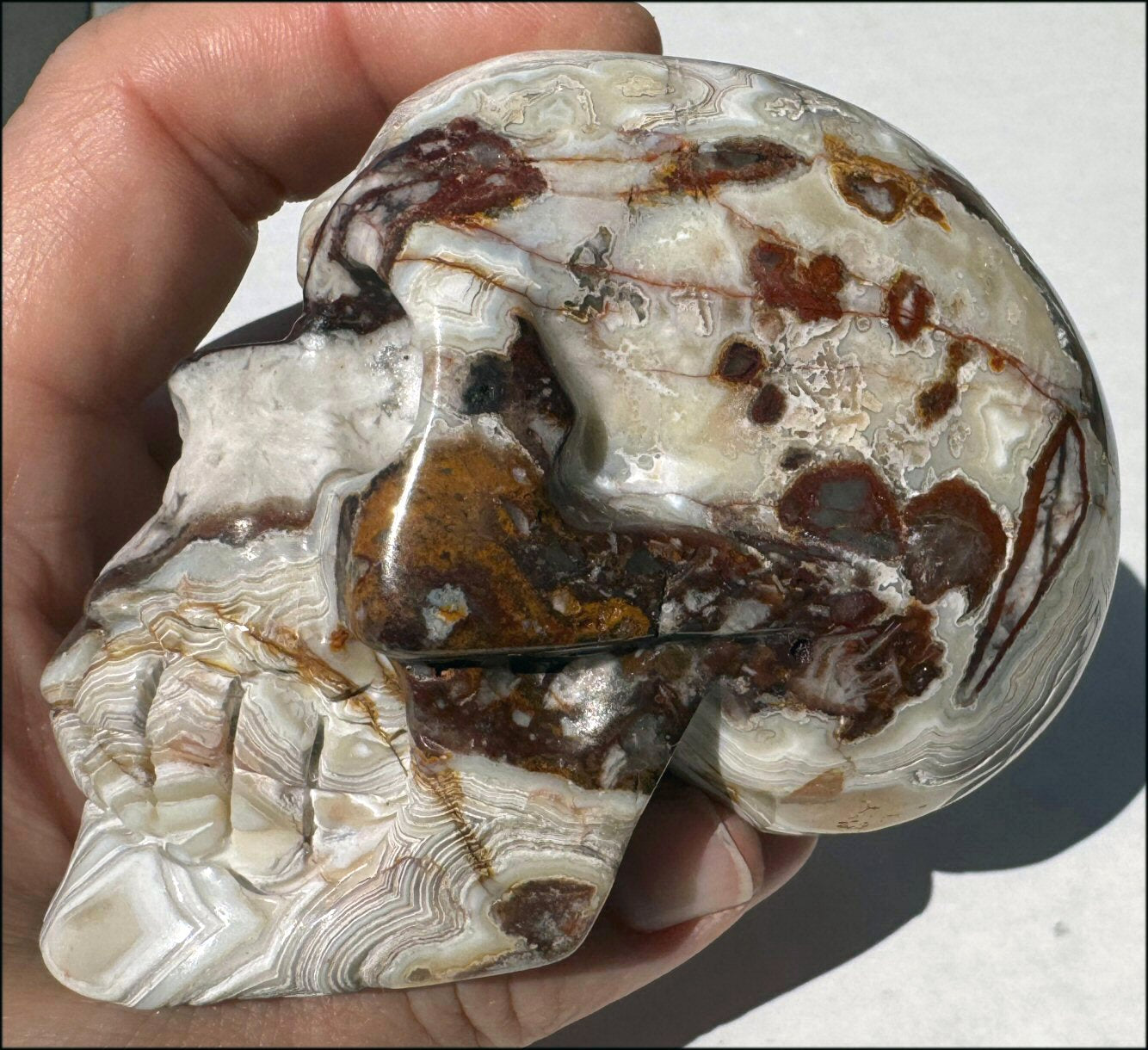 XL Mexican CRAZY LACE AGATE Crystal Skull - Laughter, Divination