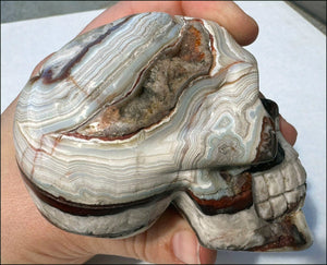 XL Mexican CRAZY LACE AGATE Crystal Skull - Laughter, Divination