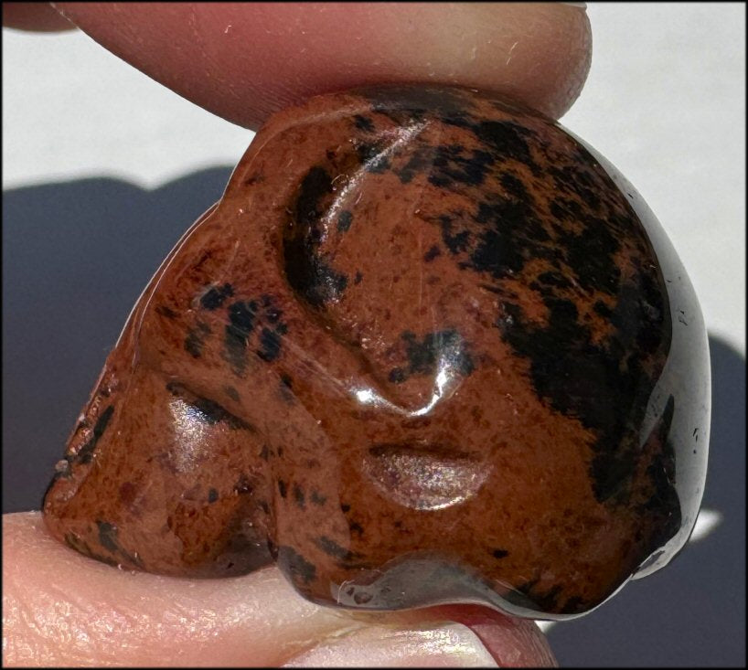 Small Mahogany Obsidian CRYSTAL SKULL - Strength, Courage